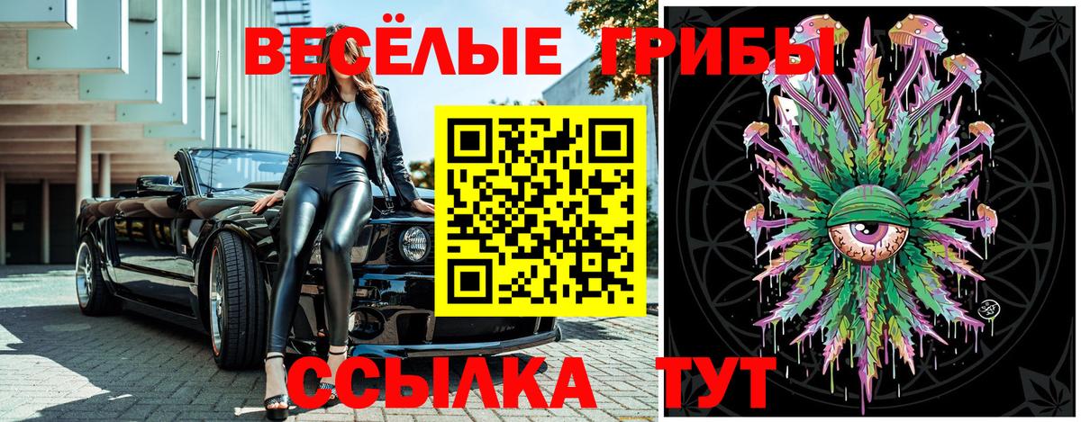 Галлюциногенные грибы Magic Shrooms Мичуринск