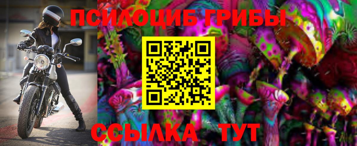 Мичуринск  Псилоцибиновые грибы мицелий  Вход с VPN  Псилоцибиновые грибы прущие грибы 